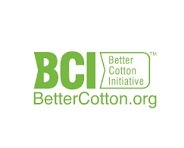 BCI Logo