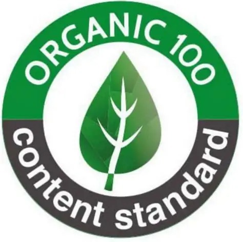 OCS Logo